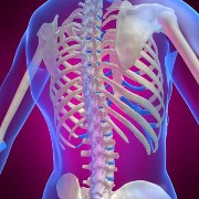 Osteoporosis related image